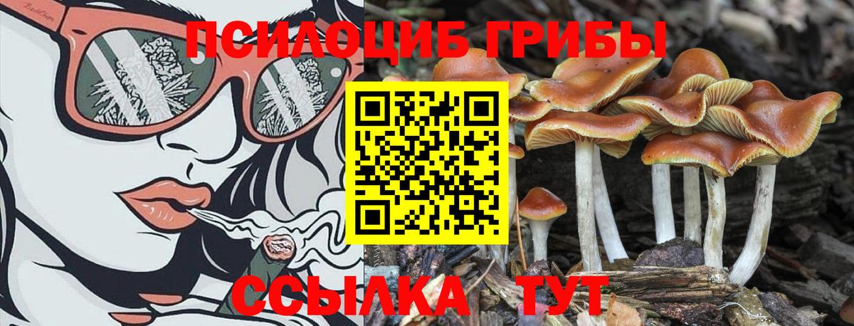 Галлюциногенные грибы Magic Shrooms  где купить   Чусовой  Вход с VPN 